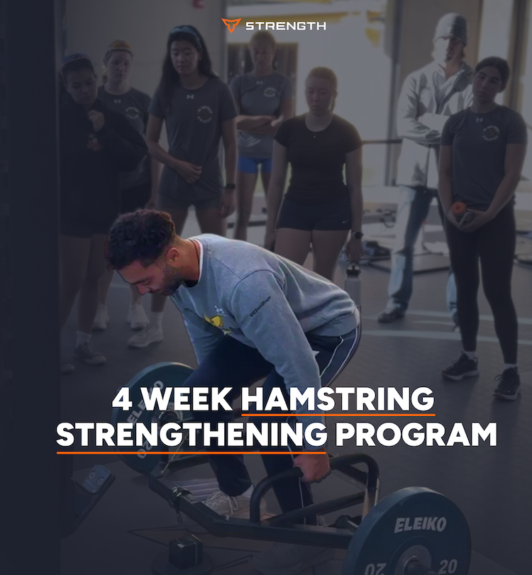 Hamstring Strengthening