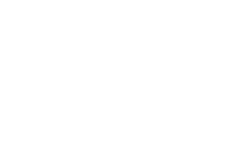 Logo - AAv2