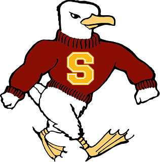 Logo - Salisbury