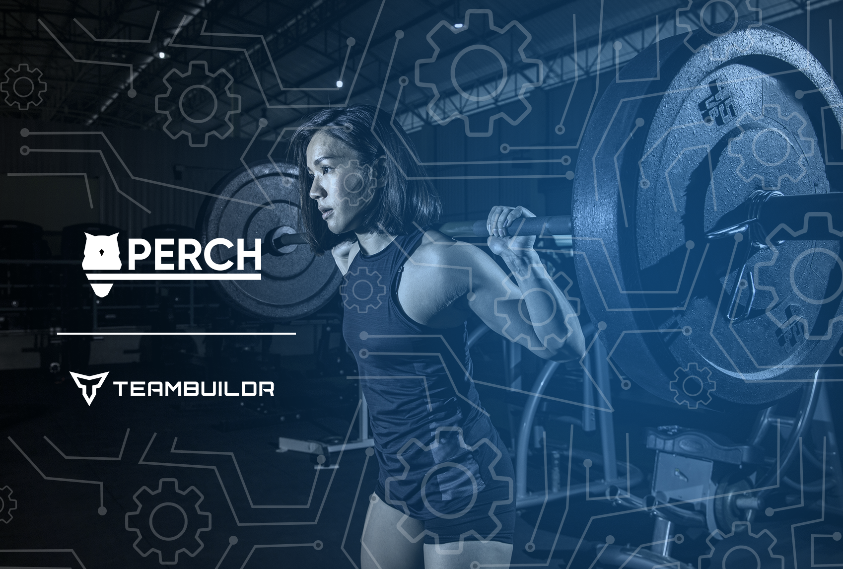 Perch Integration Background