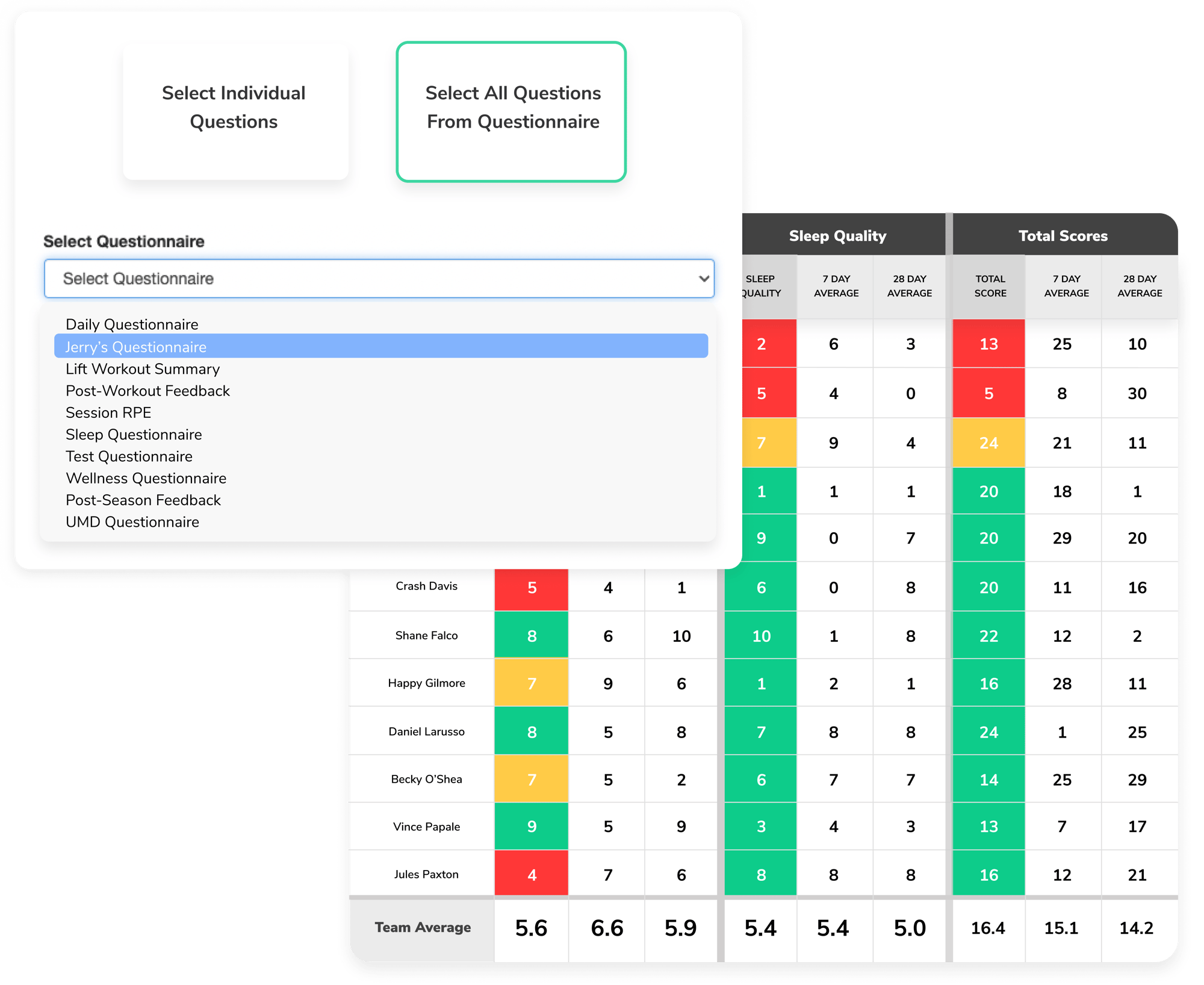 Questionnaire Reportv2