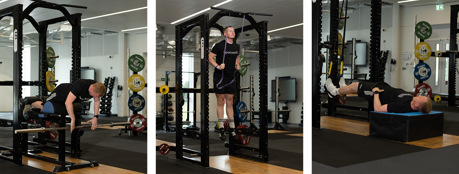 sportsmith lp image collage